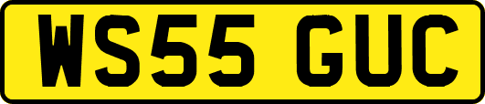 WS55GUC