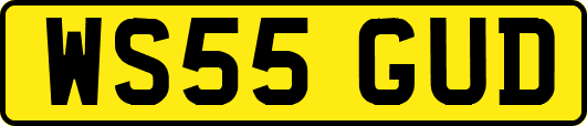 WS55GUD