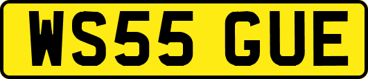 WS55GUE