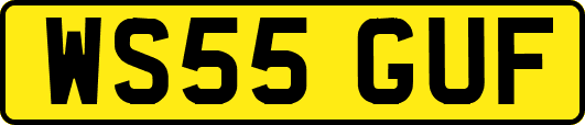 WS55GUF
