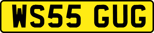 WS55GUG