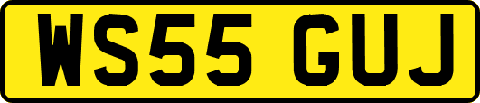 WS55GUJ