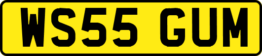 WS55GUM