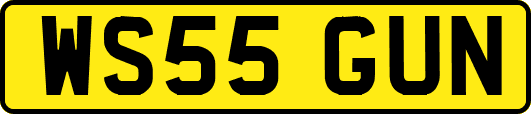 WS55GUN