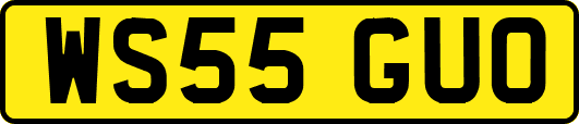 WS55GUO