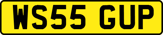 WS55GUP