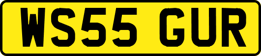 WS55GUR