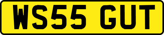 WS55GUT