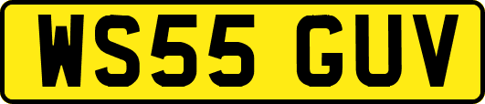 WS55GUV