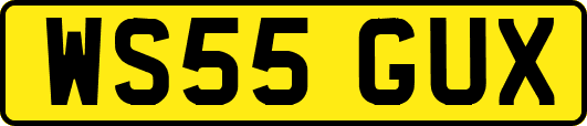 WS55GUX
