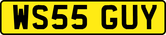 WS55GUY