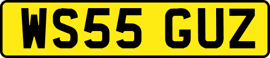 WS55GUZ