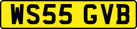 WS55GVB