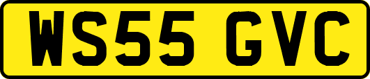 WS55GVC