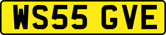WS55GVE