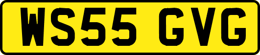 WS55GVG
