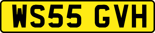 WS55GVH