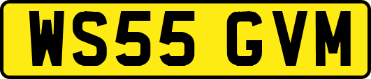 WS55GVM
