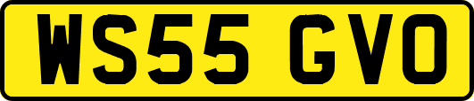 WS55GVO