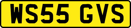 WS55GVS