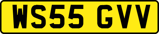 WS55GVV