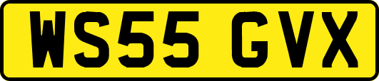 WS55GVX