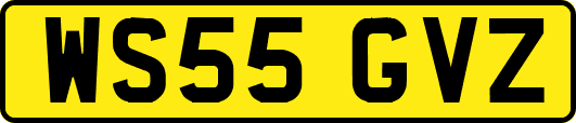 WS55GVZ