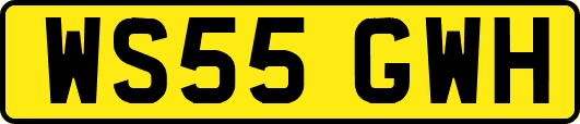 WS55GWH