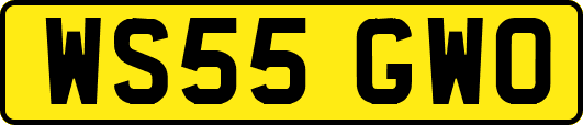 WS55GWO