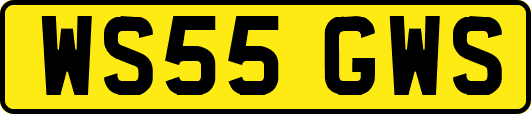 WS55GWS