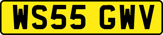 WS55GWV