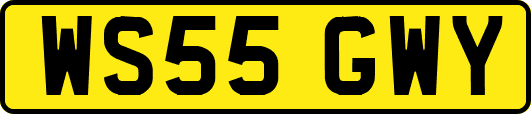 WS55GWY