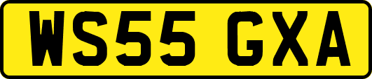 WS55GXA