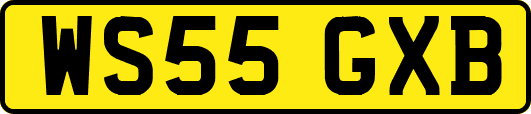 WS55GXB