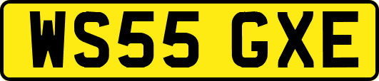 WS55GXE