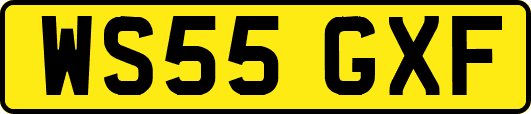 WS55GXF