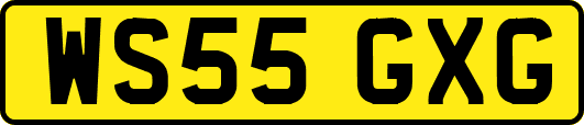 WS55GXG