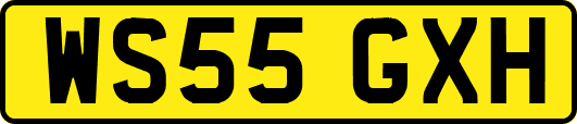 WS55GXH