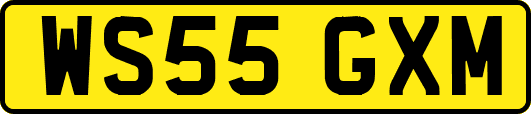 WS55GXM