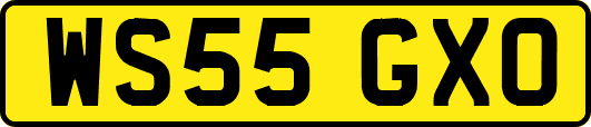 WS55GXO