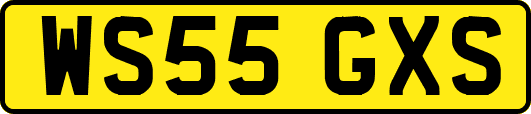 WS55GXS