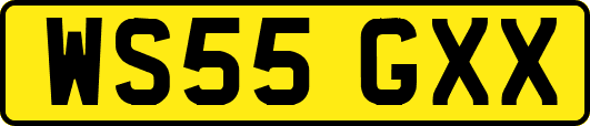 WS55GXX
