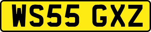 WS55GXZ