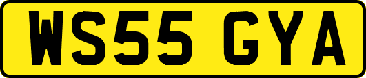 WS55GYA