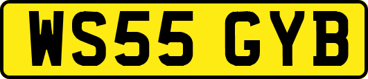 WS55GYB
