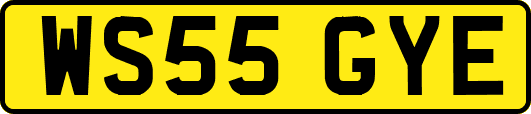 WS55GYE