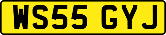 WS55GYJ