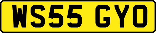 WS55GYO