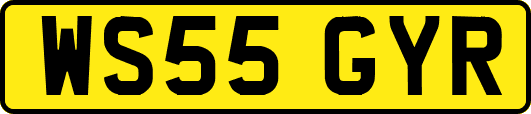 WS55GYR