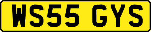 WS55GYS